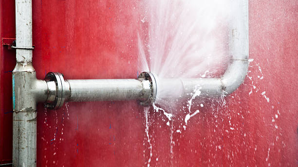 Best Local water damage restoration  in Rio Grande, OH